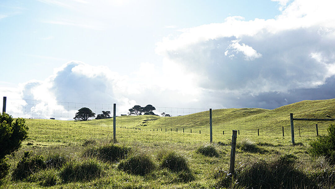 Reaching NZ’s Rural and Remote Communities