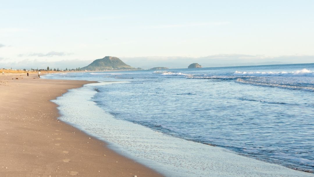 Positions available in the Bay of Plenty