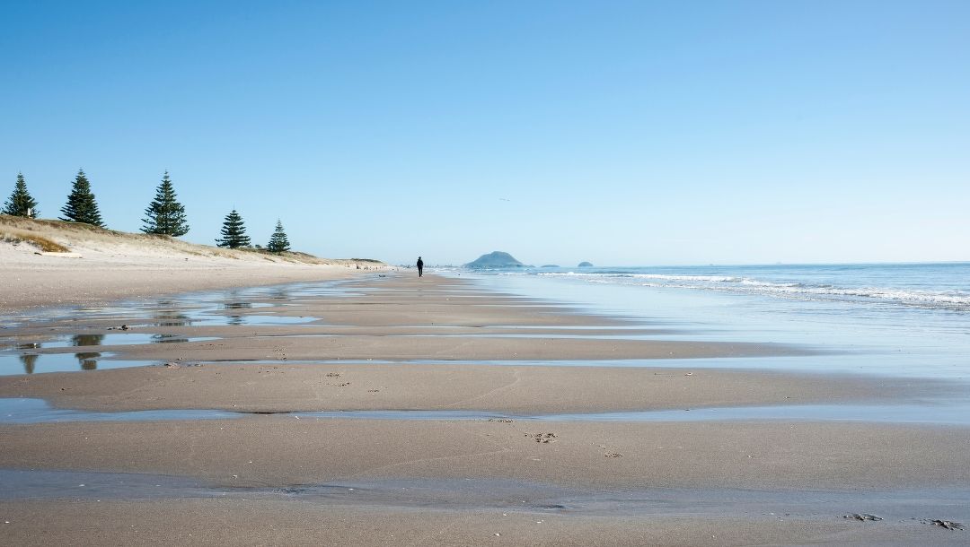 Recruiting: Nurse Practitioners for Bay of Plenty